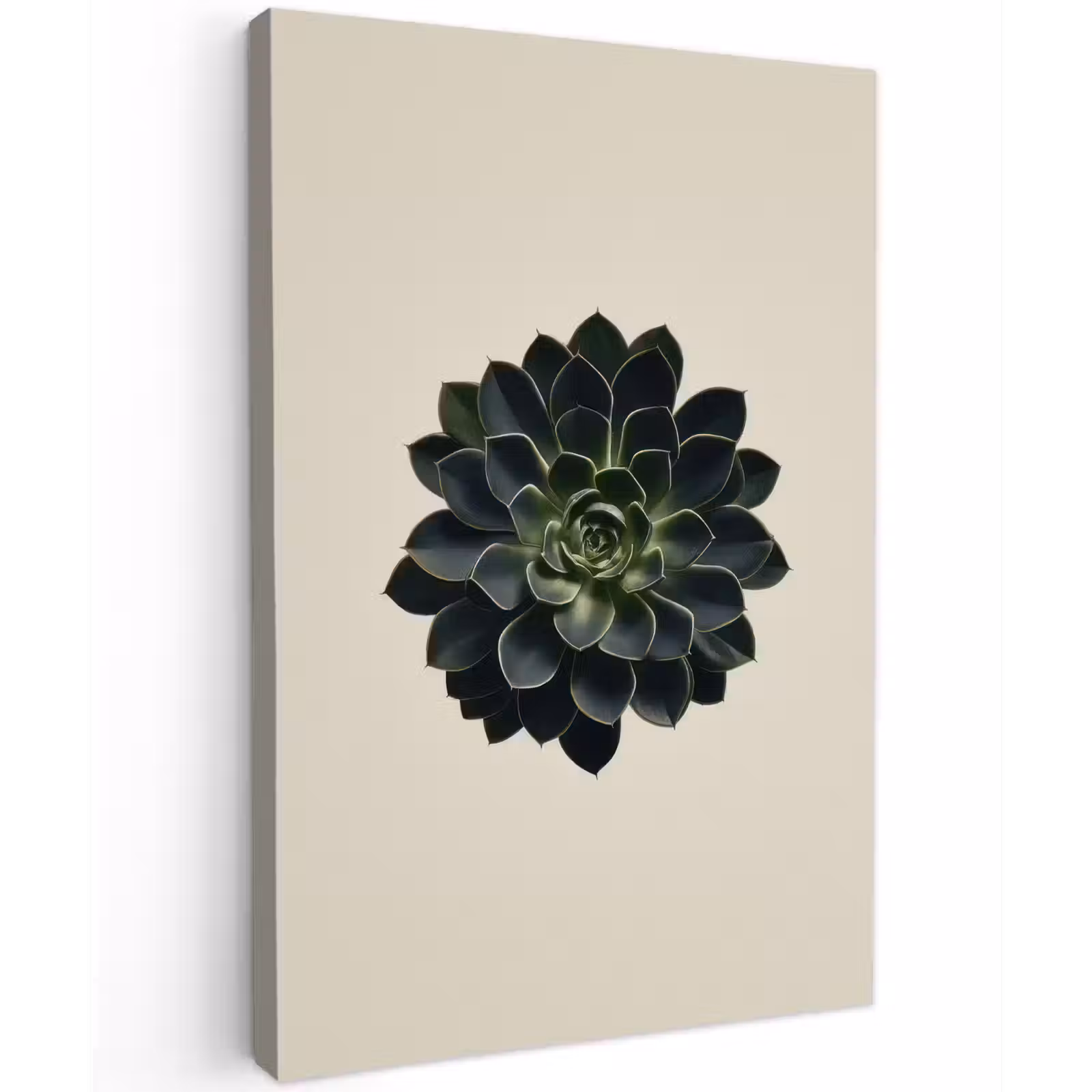 Buiten canvas - Rozet - Cirkelvormig - Donkergroen — 1