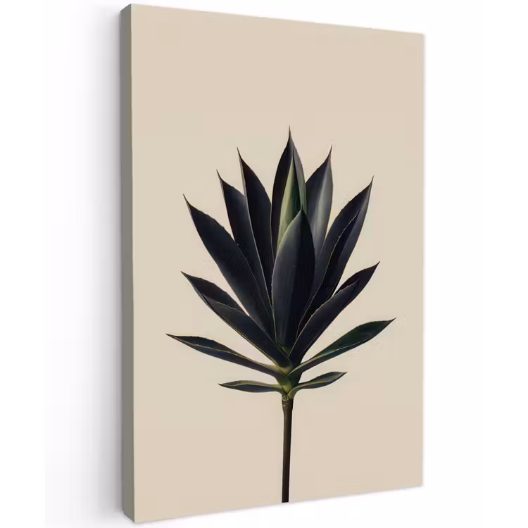 Buiten canvas - Agaveplant - Symmetrisch - Groen — 1