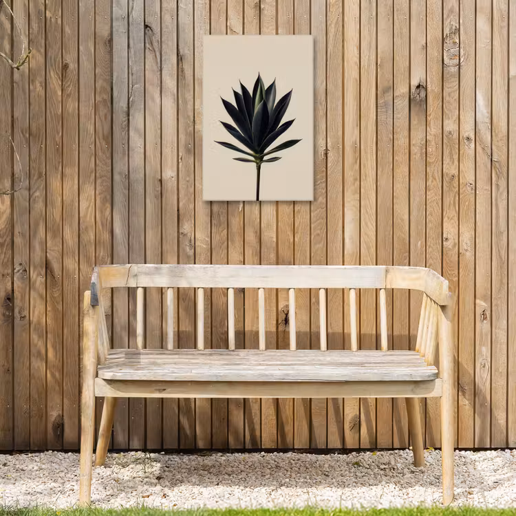 Buiten canvas - Agaveplant - Symmetrisch - Groen — 3