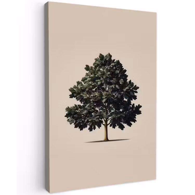 Buiten canvas - Eikenboom - Schaduw - Egaal — 1