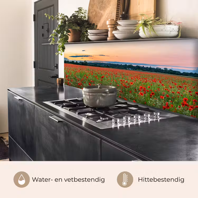 Keuken achterwand - Klaprozen - Landschap - Rood - Bloemen — 3