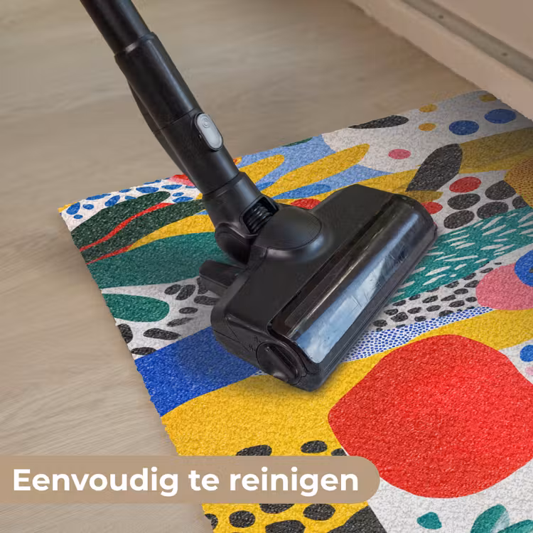 Deurmat - Stippen - Vormen - Modern - Kleuren — 9