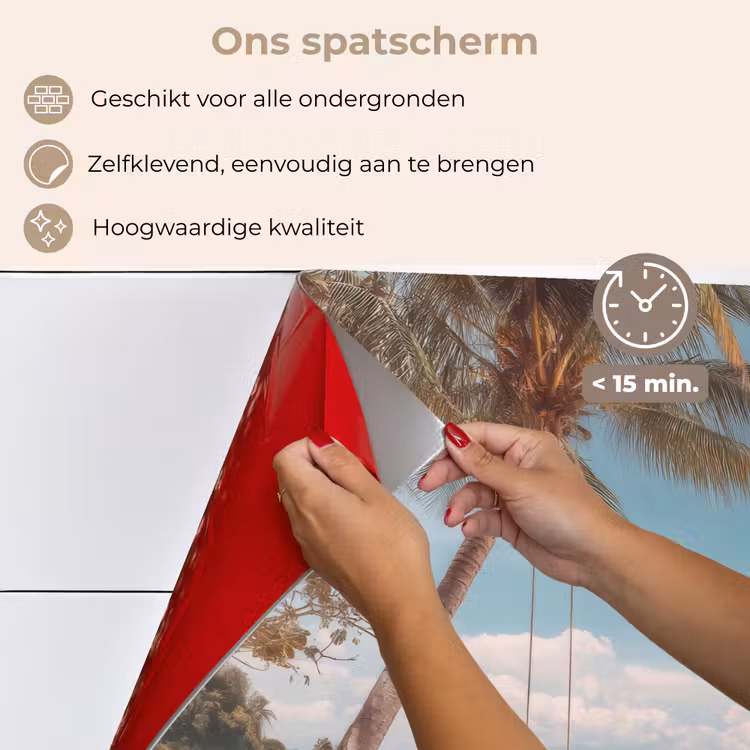 Spatscherm keuken - Palmboom - Schommel - Strand - Lucht — 4