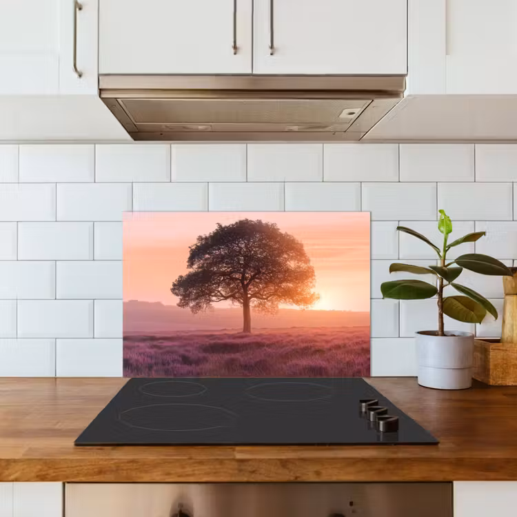 Spatscherm keuken - Boom - Heide - Zonsopgang — 5