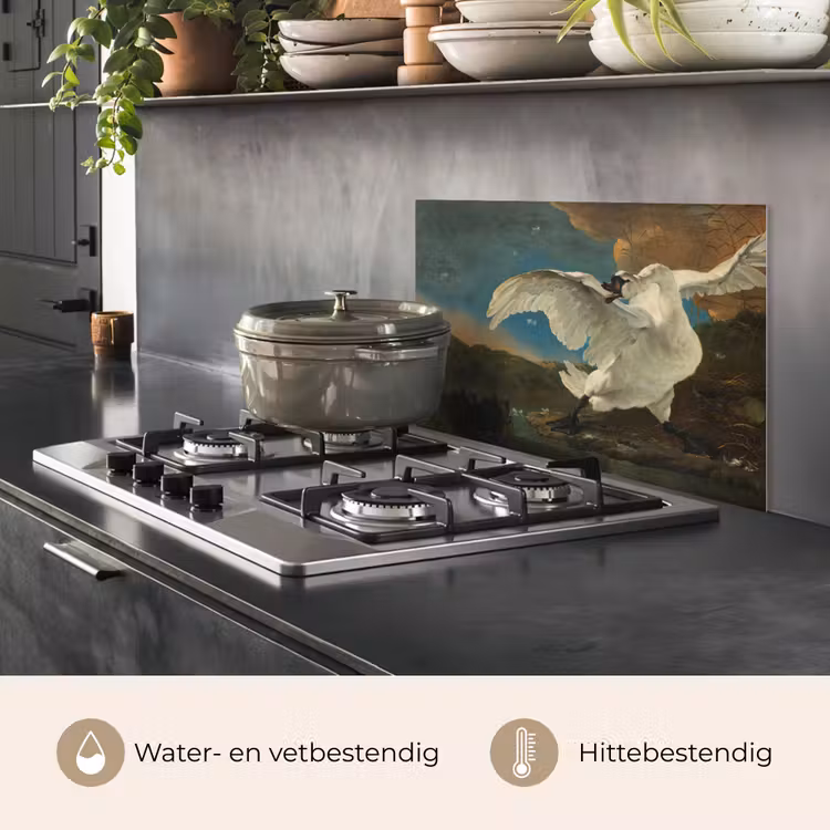 Spatscherm keuken - Zwaan - Oude meesters - Jan Asselijn — 7