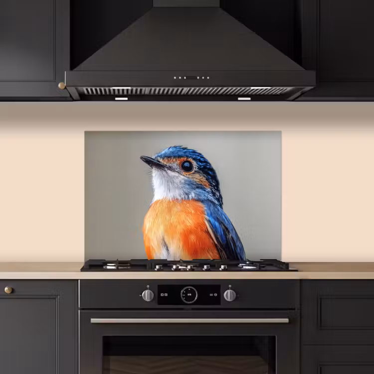 Spatscherm keuken - Kleurrijk - Vogeltje - Veren - Blauw — 2