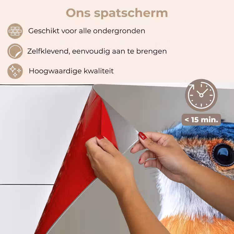 Spatscherm keuken - Kleurrijk - Vogeltje - Veren - Blauw — 4