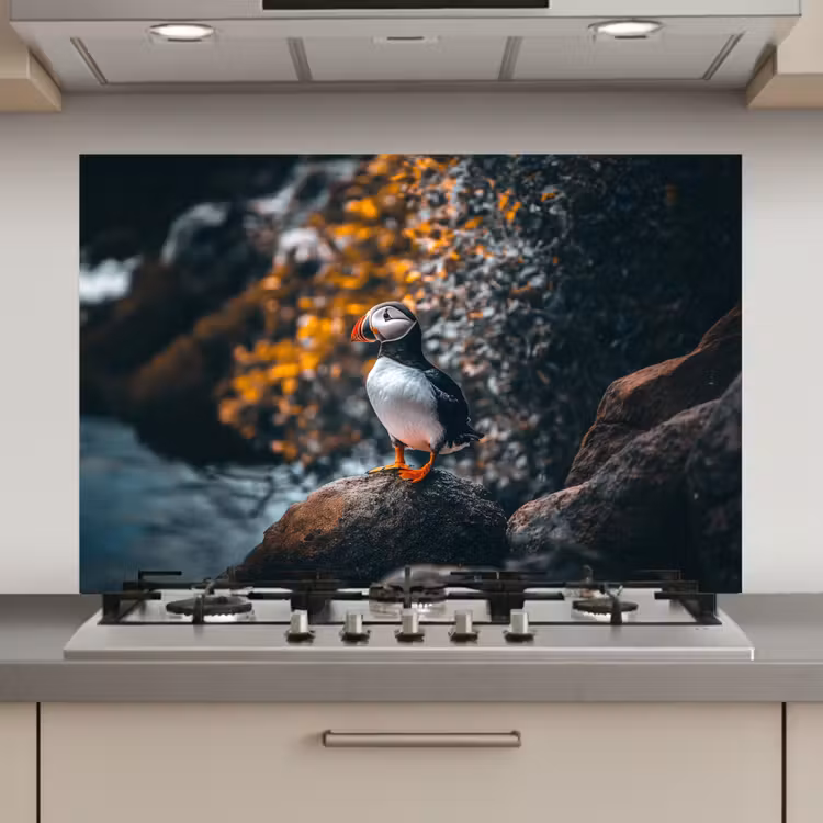 Spatscherm keuken - Papegaai - Vogel - Rots - Wit — 1