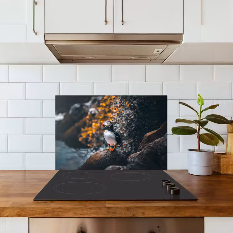 Spatscherm keuken - Papegaai - Vogel - Rots - Wit — 6
