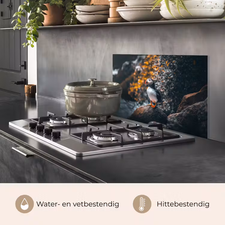 Spatscherm keuken - Papegaai - Vogel - Rots - Wit — 7