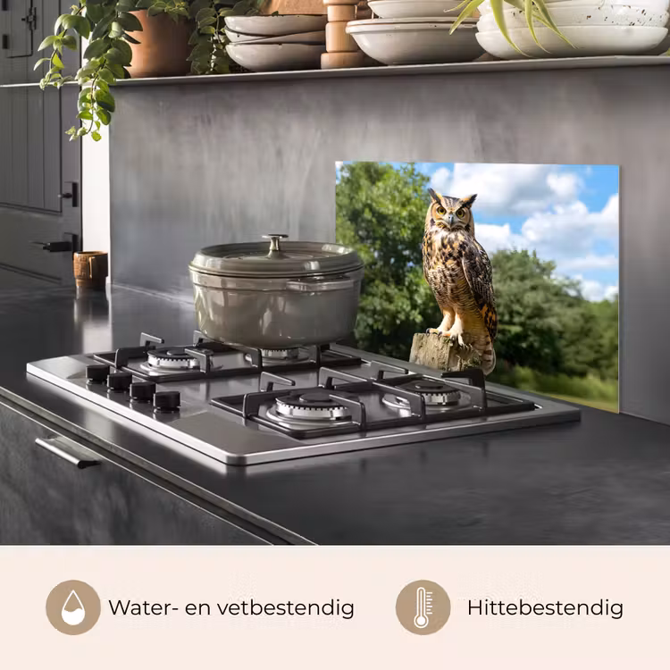 Spatscherm keuken - Uil - Boomstronk - Bos - Lucht — 7