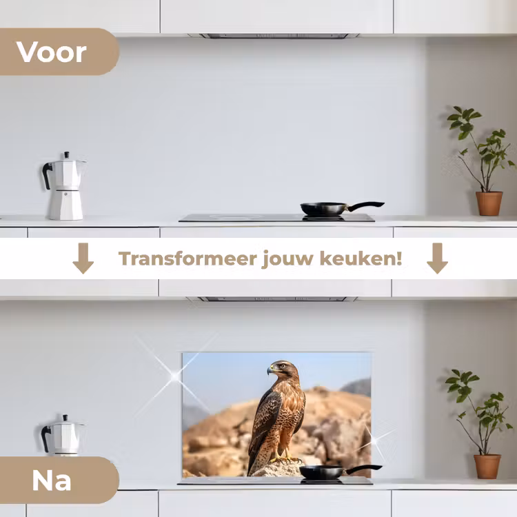 Spatscherm keuken - Valk - Vogel - Rots - Macht — 3