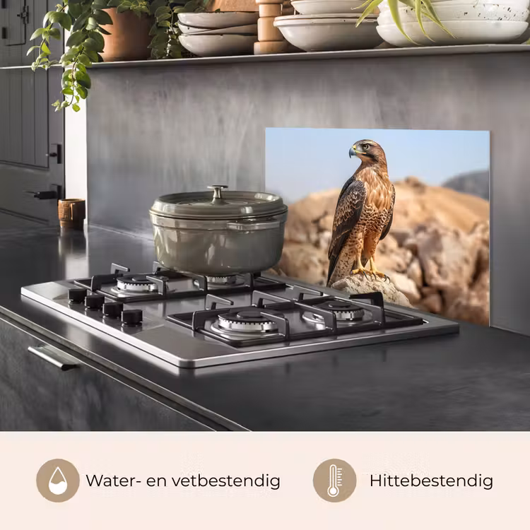 Spatscherm keuken - Valk - Vogel - Rots - Macht — 7