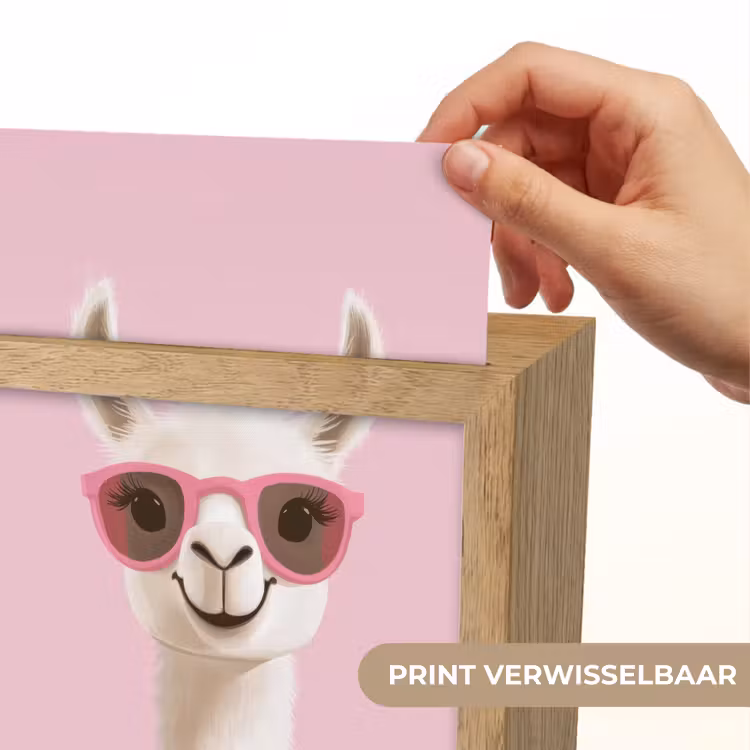 Nachtlampje - Lama - Zonnebril - Roze — 4