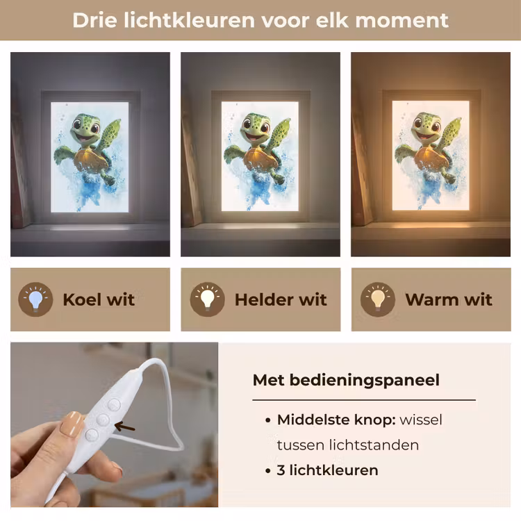 Nachtlampje - Schildpad - Cartoon - Water - Groen — 7