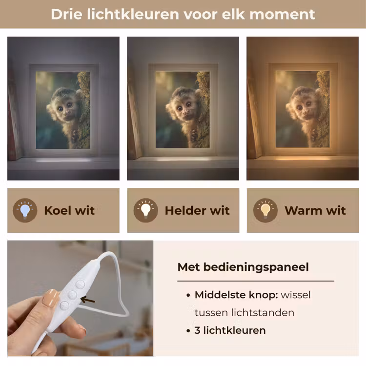 Nachtlampje - Aap - Boomstronk - Bruin — 7