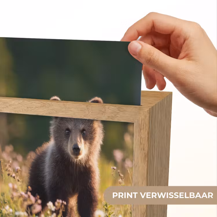 Nachtlampje - Beer - Bloemenveld - Gras — 4