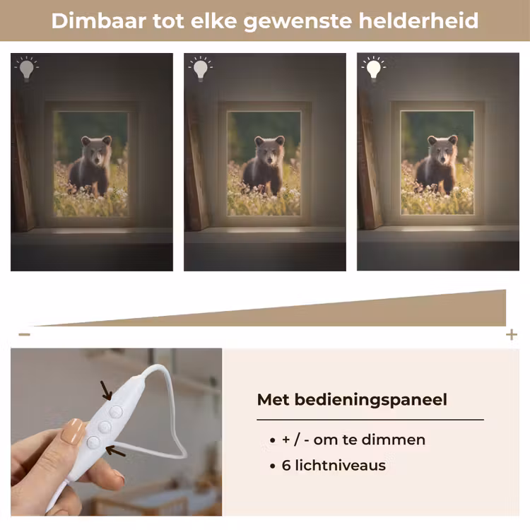 Nachtlampje - Beer - Bloemenveld - Gras — 6