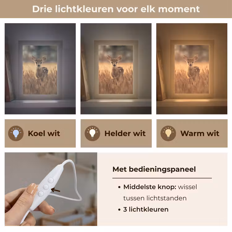 Nachtlampje - Hert - Graanveld - Bruin — 7