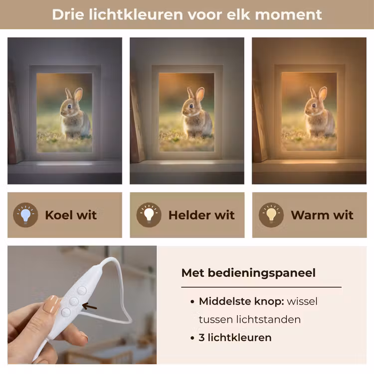 Nachtlampje - Konijntje - Bruin - Gras — 7