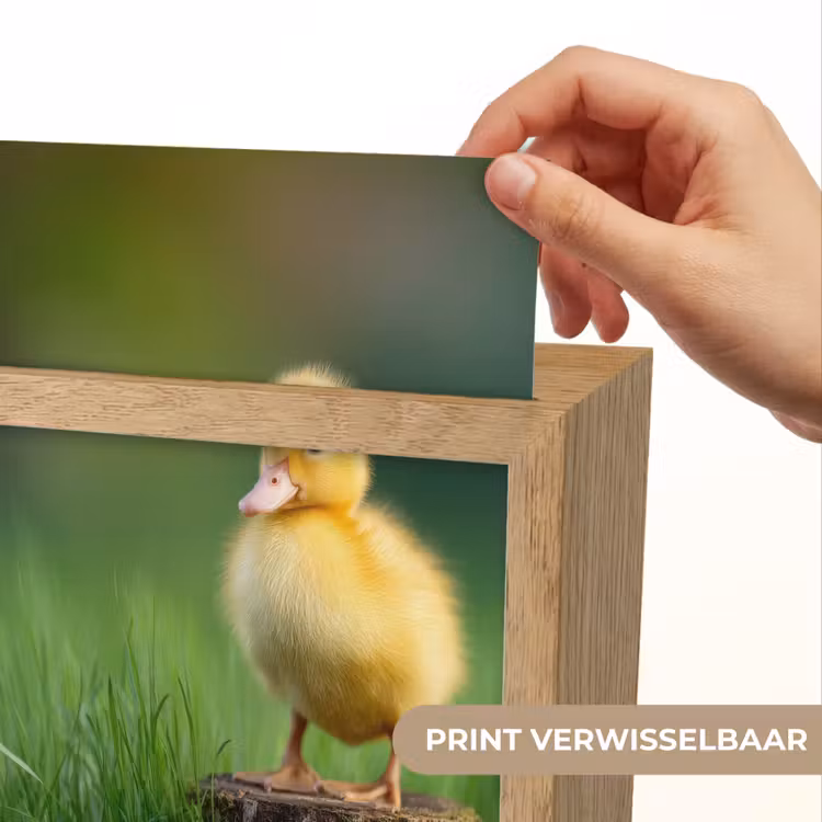 Nachtlampje - Kuiken - Eend - Geel - Gras — 4