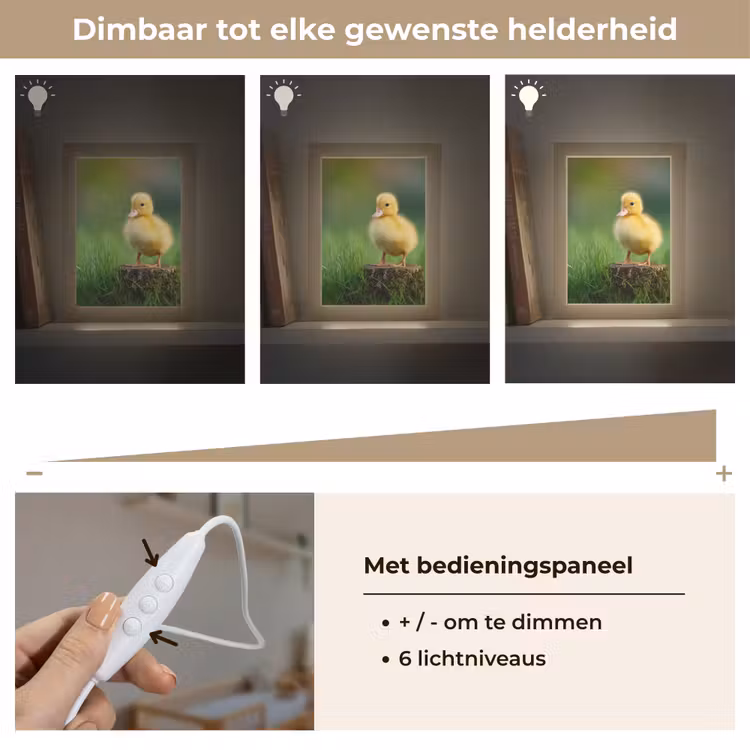 Nachtlampje - Kuiken - Eend - Geel - Gras — 6
