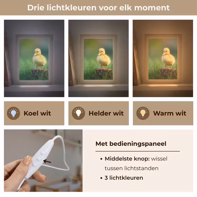 Nachtlampje - Kuiken - Eend - Geel - Gras — 7