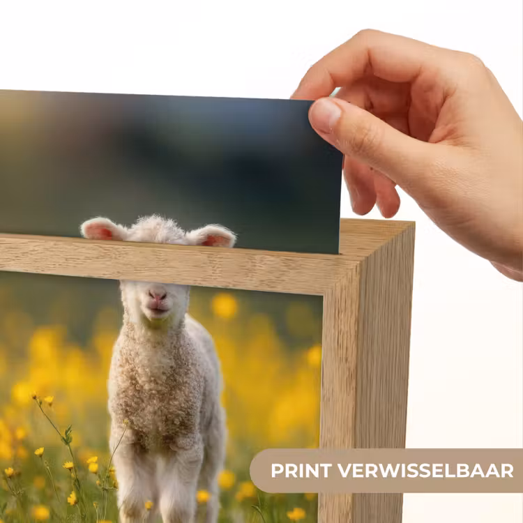 Nachtlampje - Lammetje - Gras - Bloemen - Geel — 4