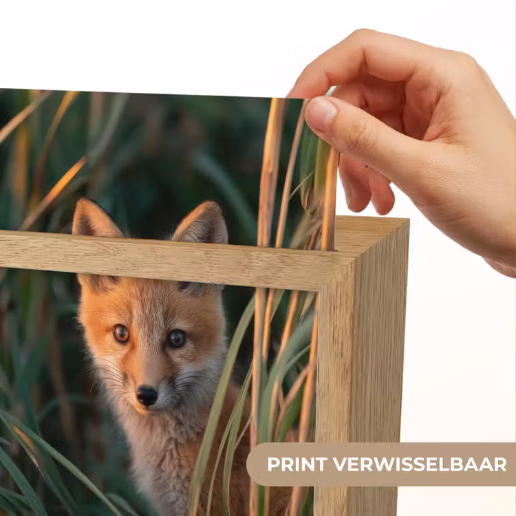 Nachtlampje - Vos - Oranje - Gras — 4