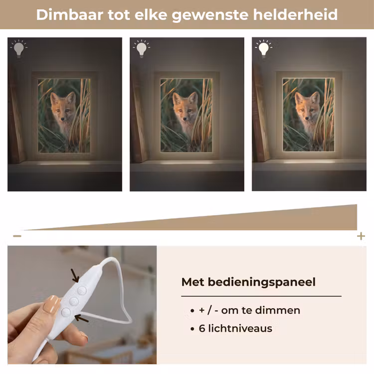 Nachtlampje - Vos - Oranje - Gras — 6