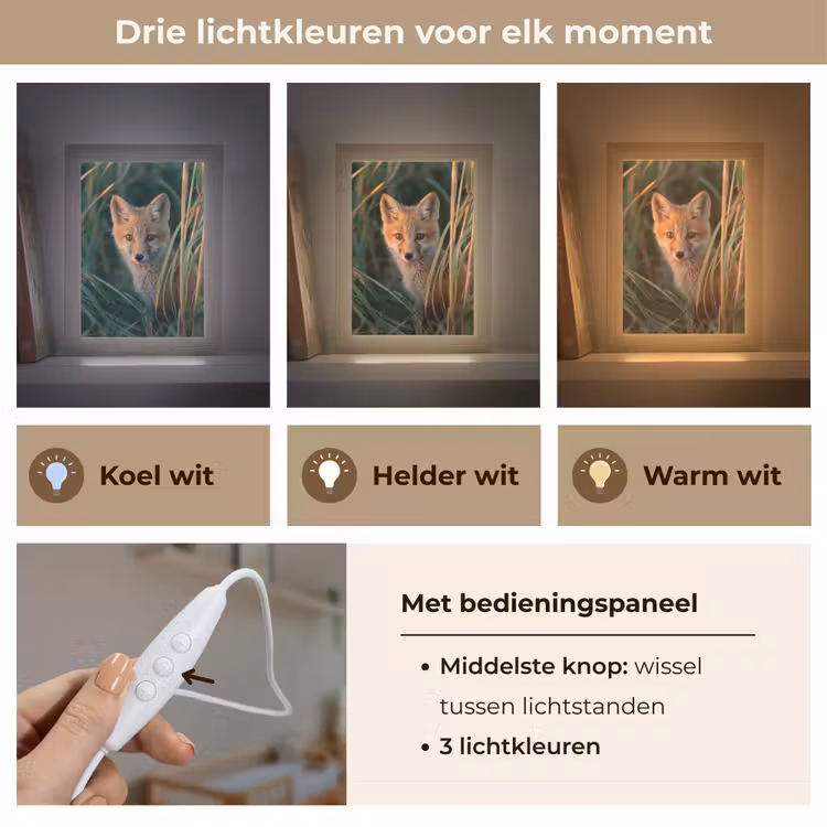 Nachtlampje - Vos - Oranje - Gras — 7