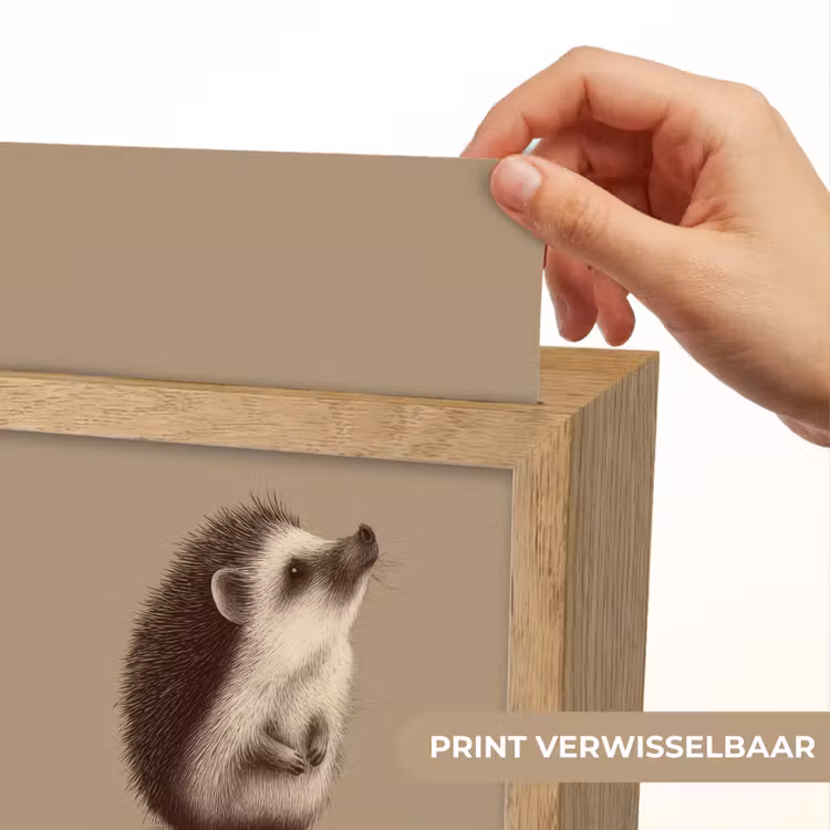 Nachtlampje - Egel - Snuitje - Bruin - Stekels — 4