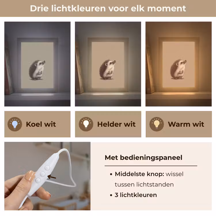 Nachtlampje - Egel - Snuitje - Bruin - Stekels — 7