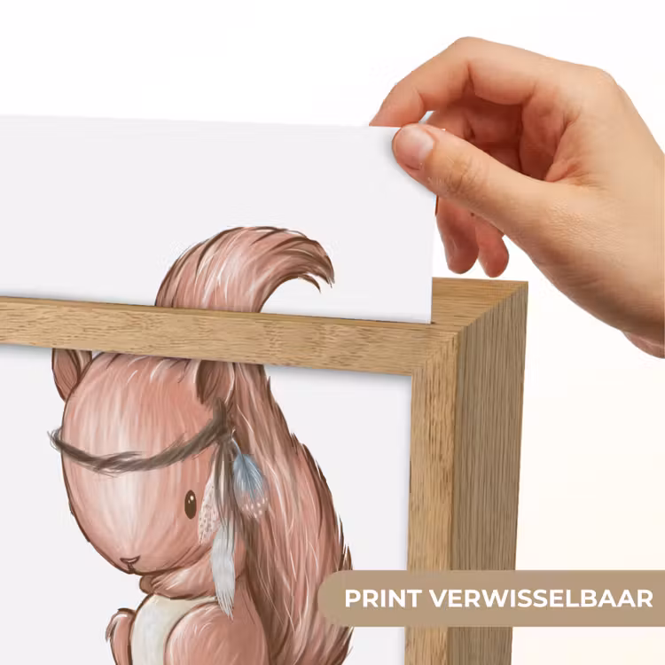 Nachtlampje - Eekhoorn - Dier - Bosdieren - Bruin — 4