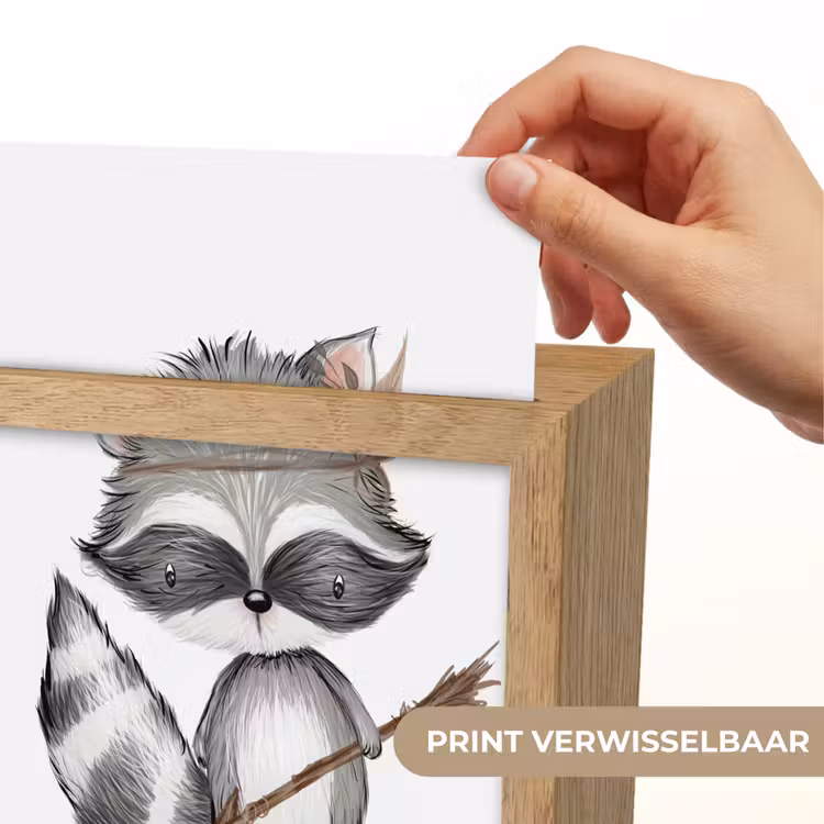 Nachtlampje - Wasbeer - Dier - Bosdieren — 4