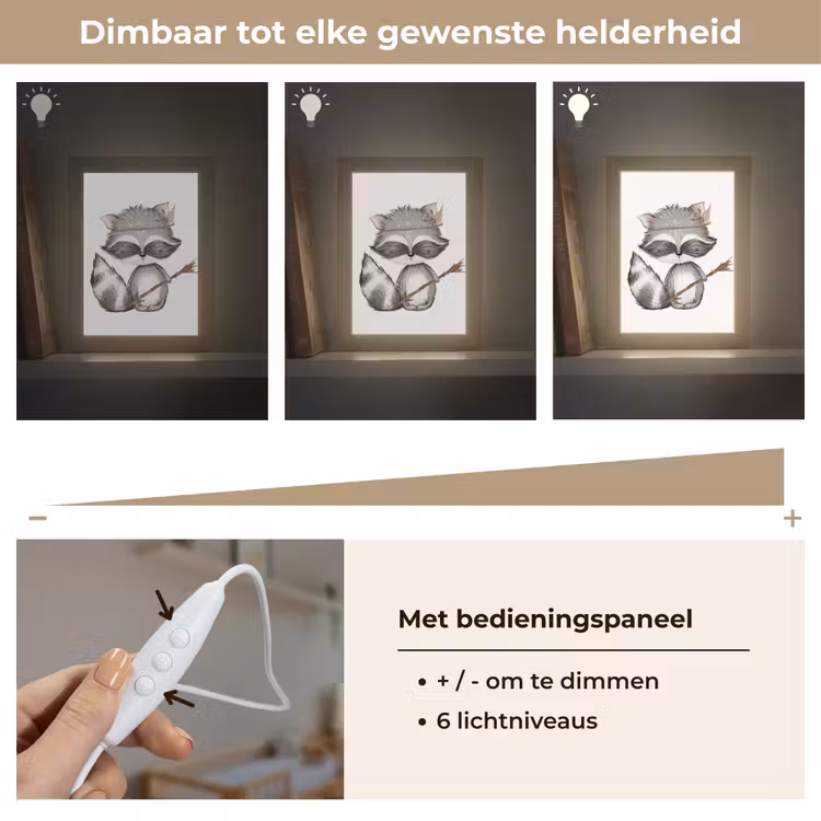 Nachtlampje - Wasbeer - Dier - Bosdieren — 6