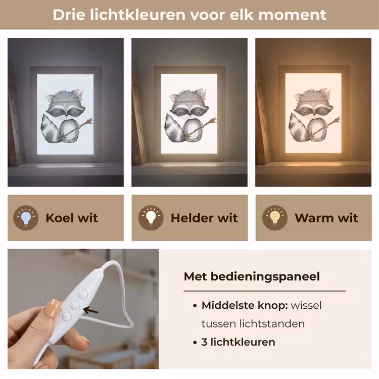 Nachtlampje - Wasbeer - Dier - Bosdieren — 7