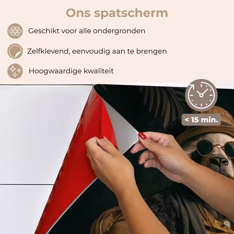Spatscherm keuken - Panda - Hoed - Bril - Pak — 4
