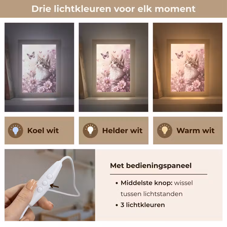 Nachtlampje - Kitten - Bloemen - Vlinders - Paars — 7