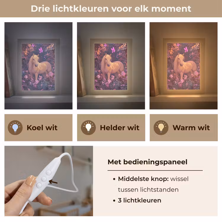 Nachtlampje - Paard - Bloemen - Paars - Vlinder — 7