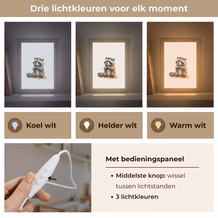 Nachtlampje - Wasbeer - Waterverf - Kleuren - Dieren - Kids — 7