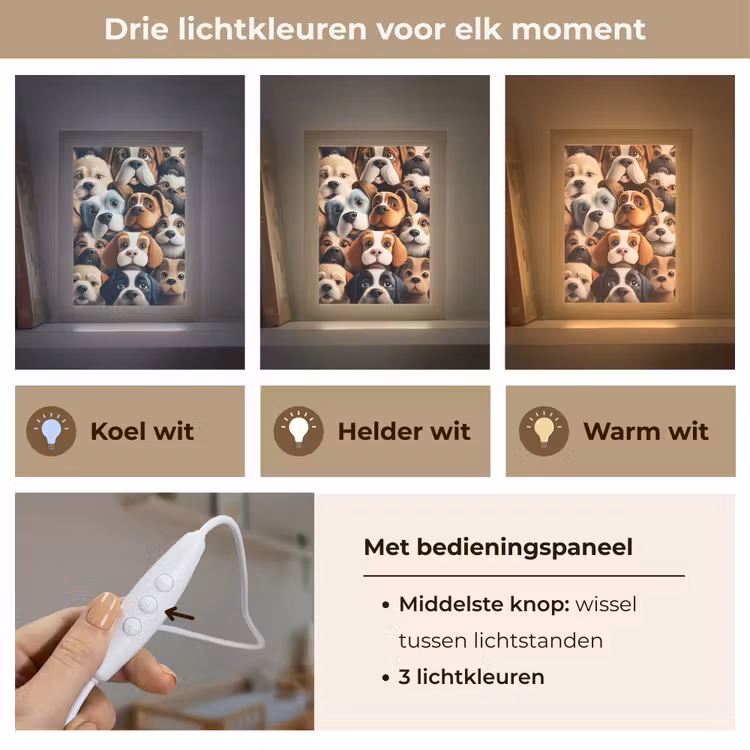 Nachtlampje - Hond - Patronen - Dieren - Bruin - Meisje - Jongen — 7