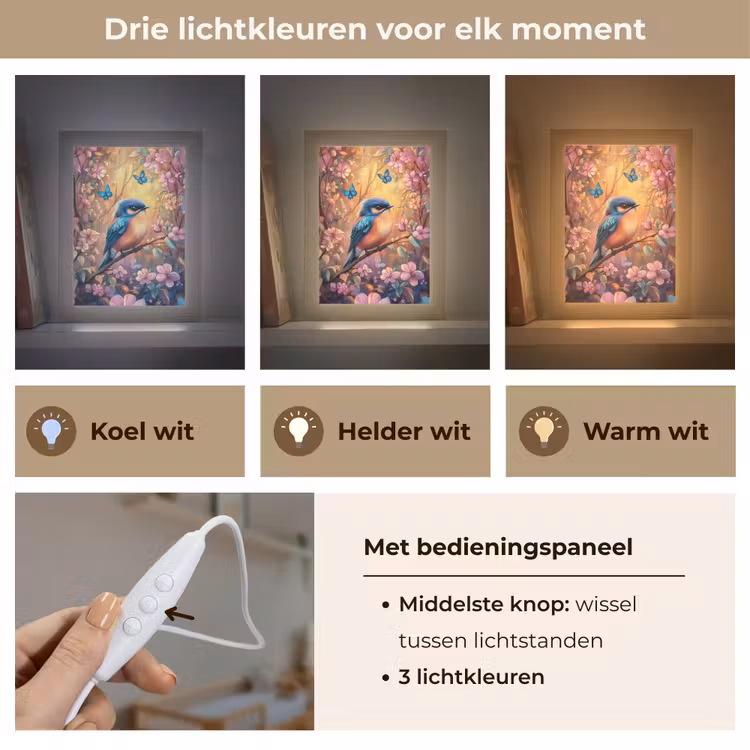 Nachtlampje - IJsvogel - Sprookjesbos - Roze - Bloemen — 7