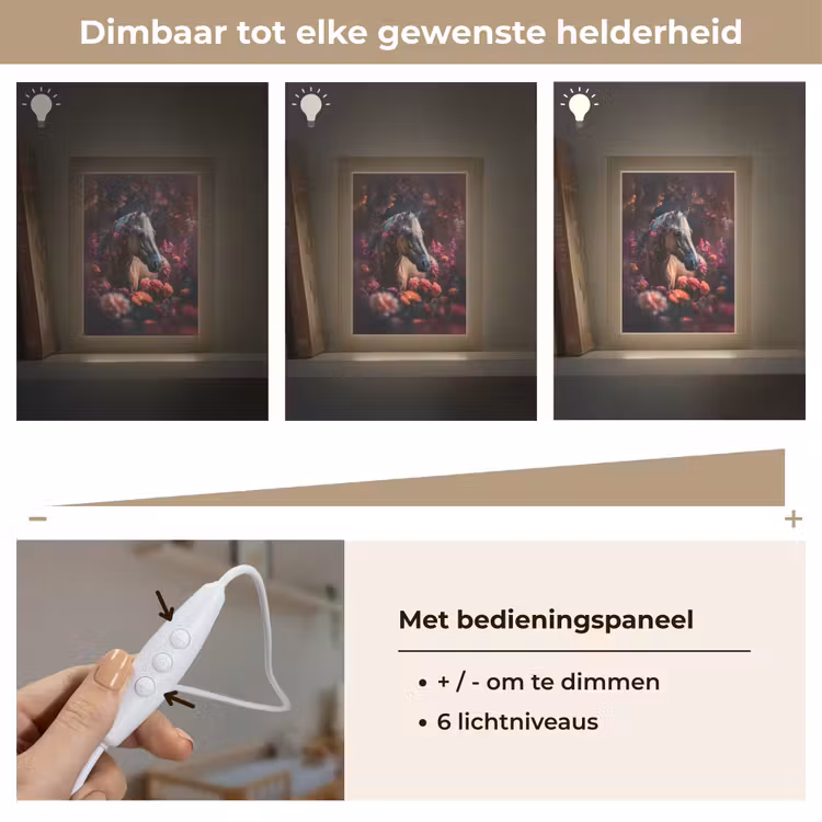 Nachtlampje - Paard - Bloemen - Paars - Oranje - Dieren — 6