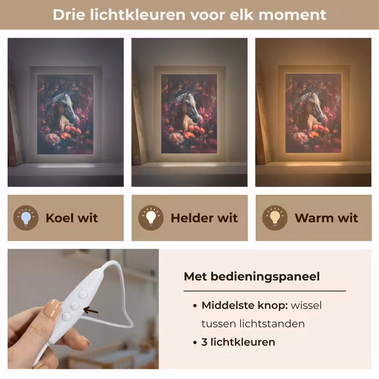 Nachtlampje - Paard - Bloemen - Paars - Oranje - Dieren — 7
