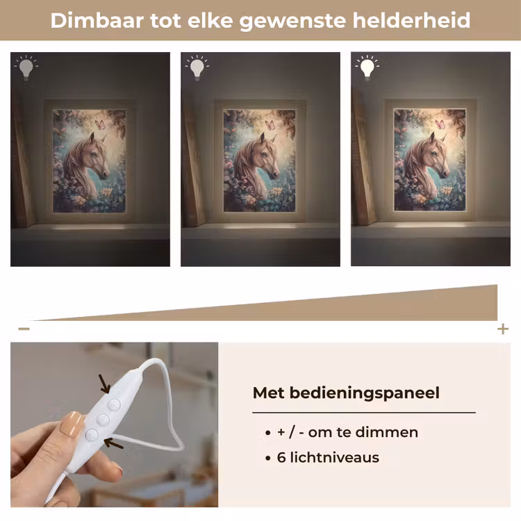 Nachtlampje - Paard - Bloemen - Vlinders — 6