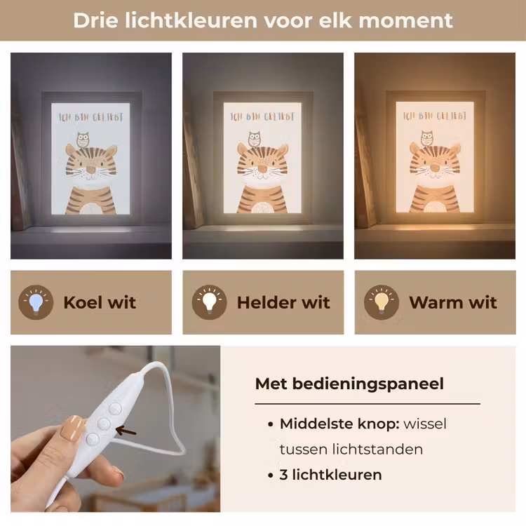 Nachtlampje - Leeuw - Uil - Beige - Dieren - Quote — 7