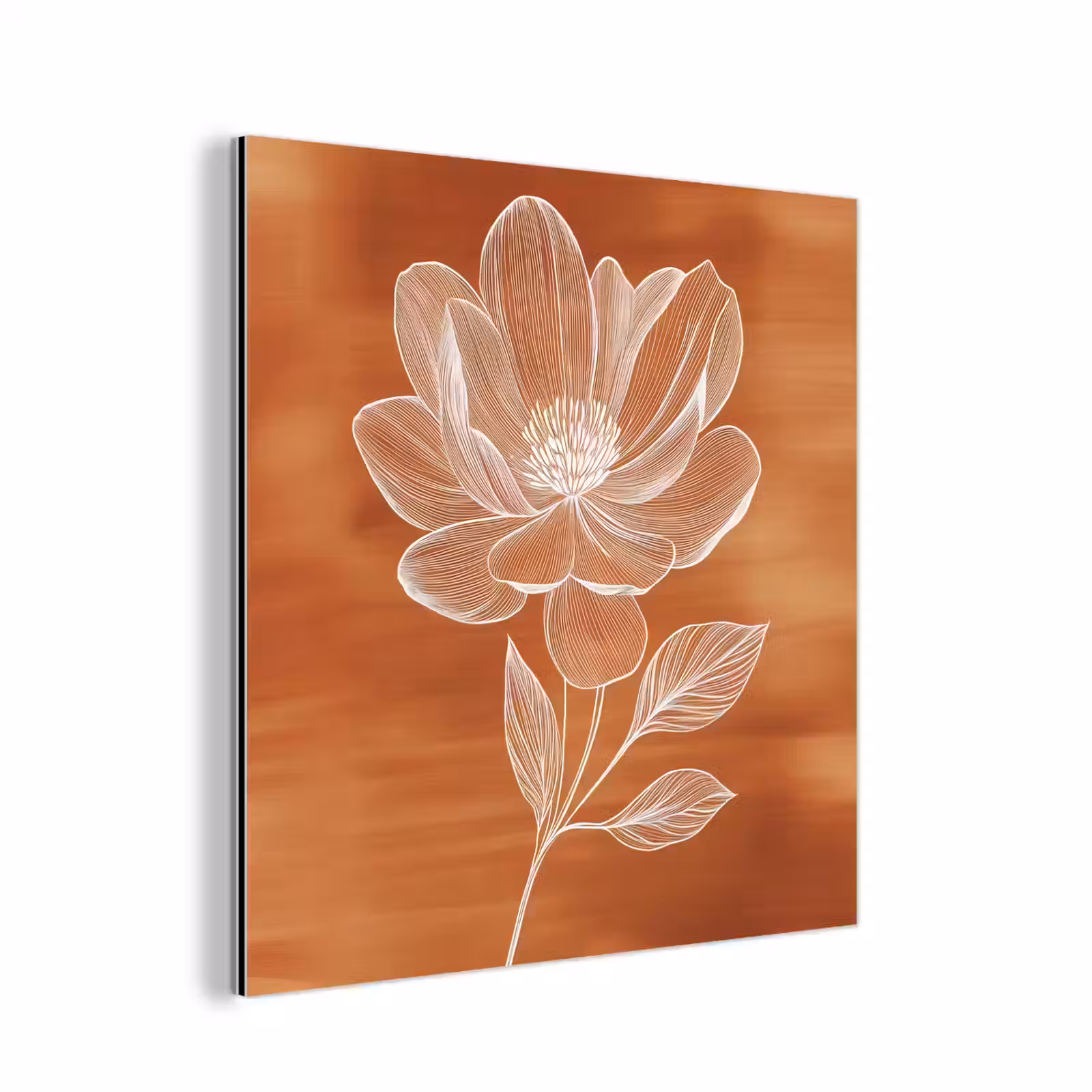 Aluminium schilderij - Bloem - Minimalistisch - Wit — 1