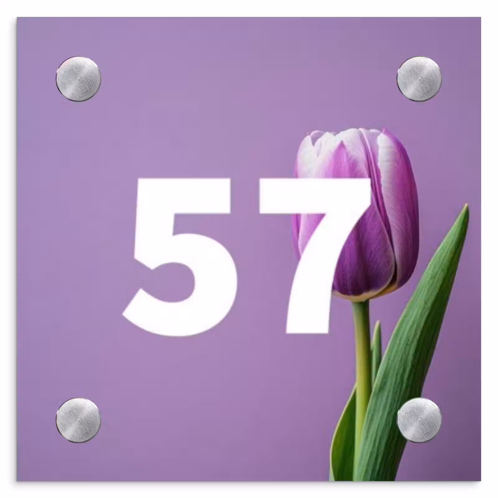Naambordje voordeur - Vierkant - Paarse tulp - Traditioneel — 1