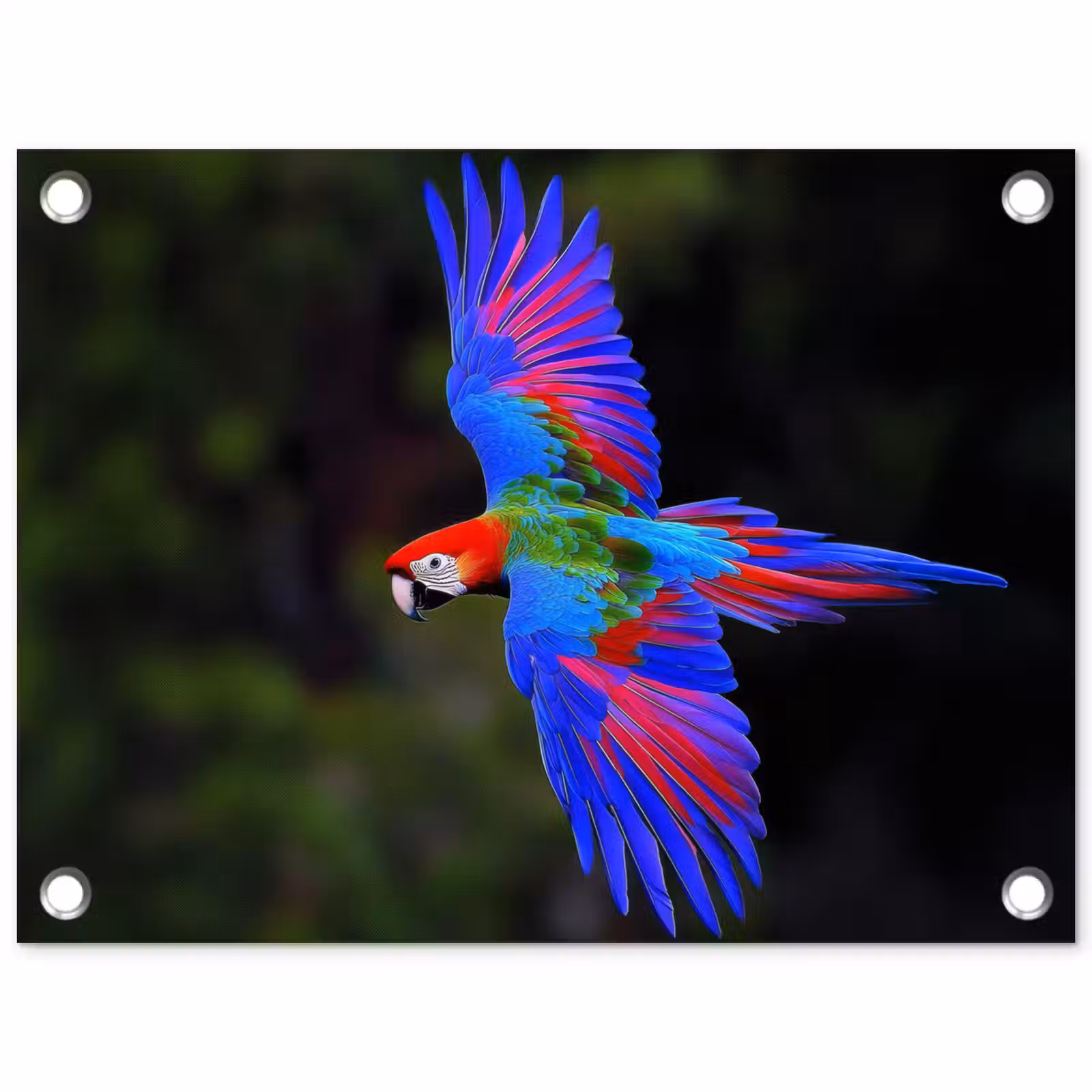Tuinposter - Felgekleurd - Papegaai - Bos - Vleugels — 1